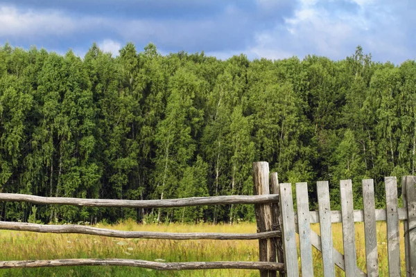 Old wooden fence with wicket in background of green grasses and forest. Scenic landscape. Concept of rural way of life.