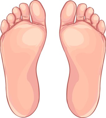 Human foot icon in cartoon style on a white background clipart