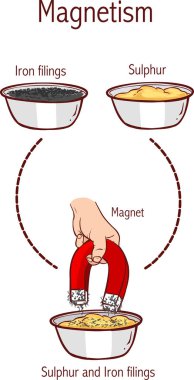 Separation of sulphur and iron filings using a magnet clipart