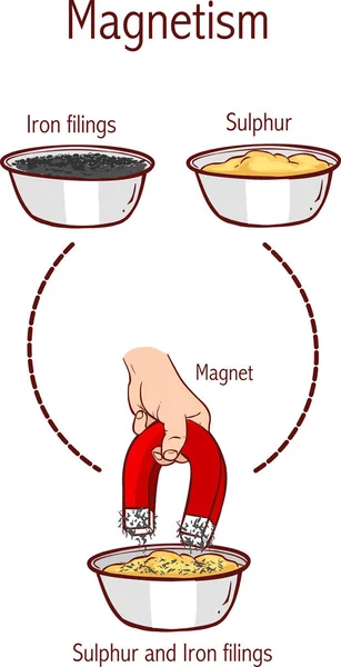 Разделение Серных Железных Опилок Помощью Магнита — стоковый вектор