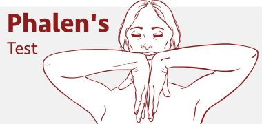 Hisse senedi Phalen'ın Test resmi