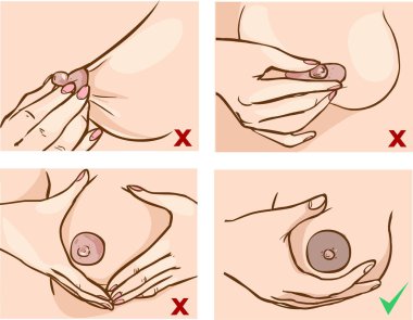 Göğüs sıkıştırma ve masaj süt çıktı artırmak için kullanın