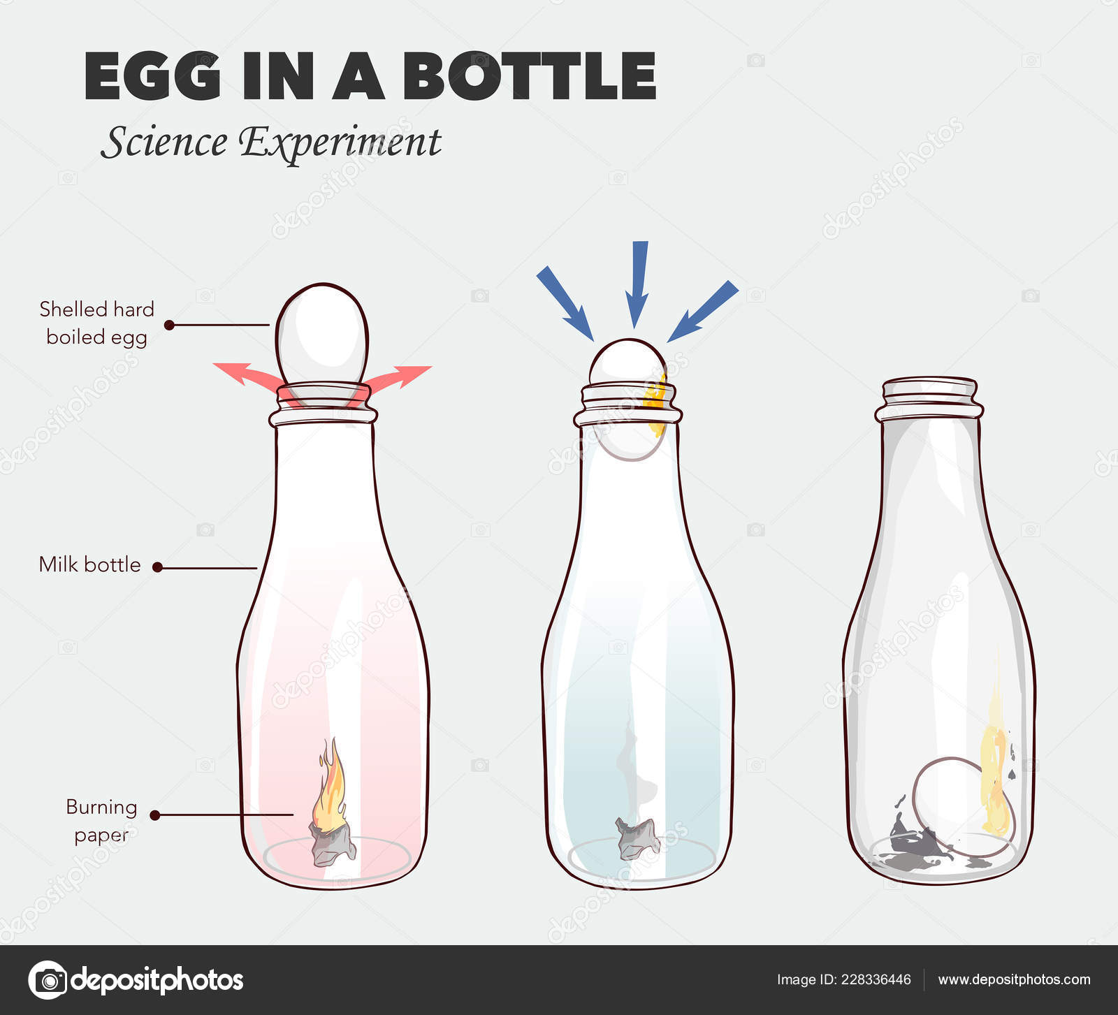 Egg in a bottle science experiment vector illustration Stock Vector by