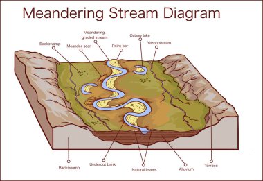 Meandering akışı vektör çizim 