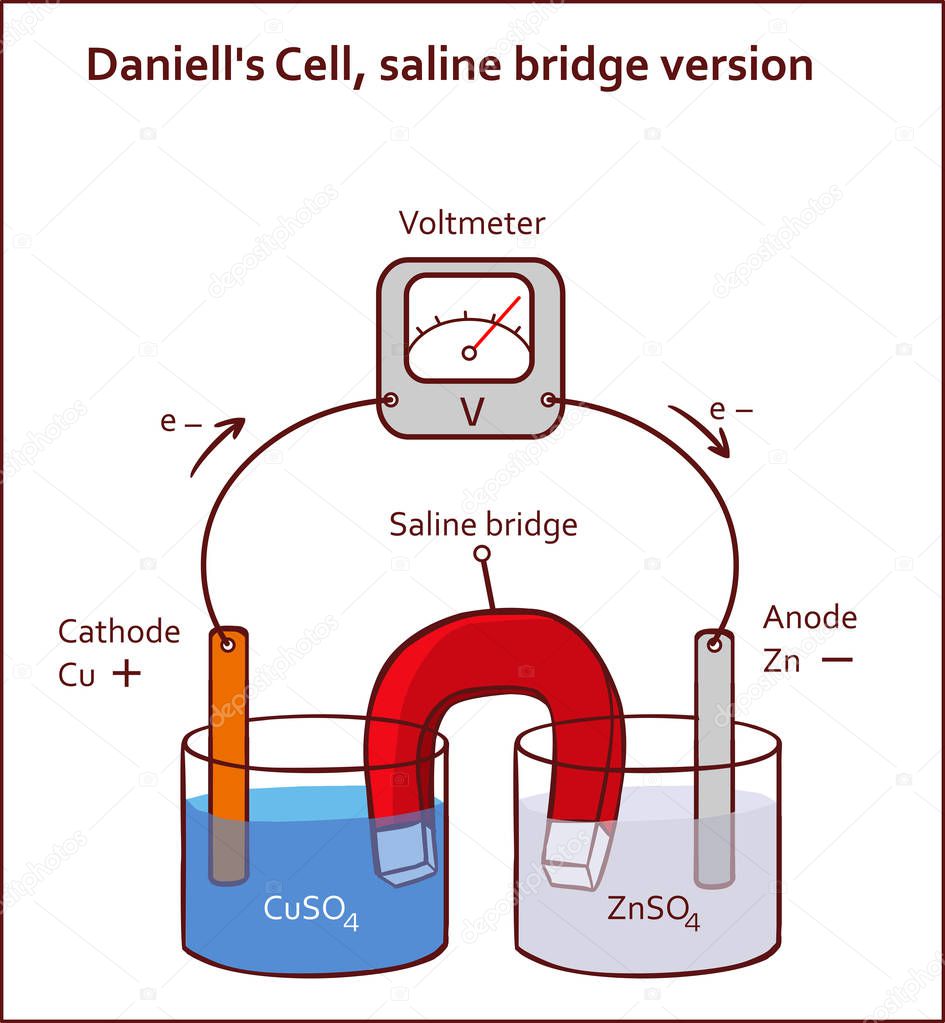 Daniell's Cell, saline bridge version vector illustration
