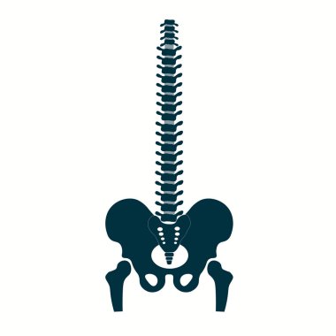Omurga simgeleri hazır. Beyaz arkaplanda web tasarımı için basit omurga vektör simgeleri kümesi. Vektör