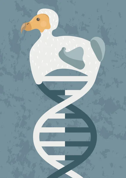 Dodo Van Dna Verticale Afbeelding Mogelijkheid Opstanding Biologie Klonen Het — Stockvector