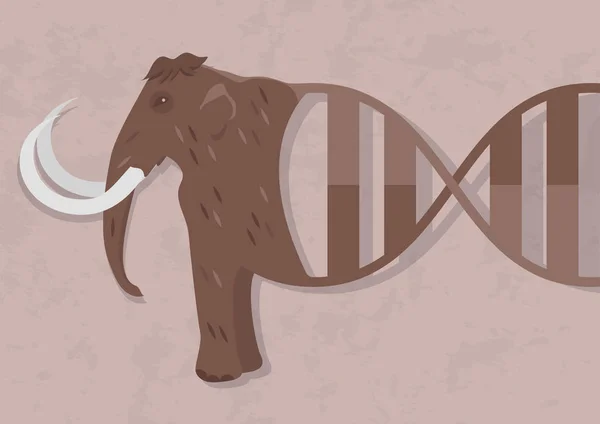 Mammoet Uit Dna Mogelijkheid Opstanding Biologie Klonen Het Zal Mogelijk — Stockvector