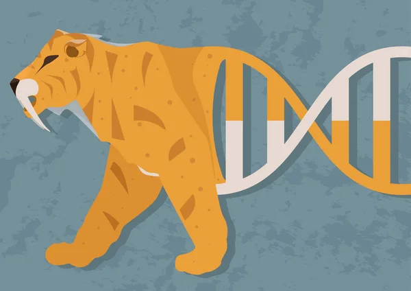 Sabre Toothed Tijger Uit Dna Mogelijkheid Opstanding Biologie Klonen Het — Stockvector