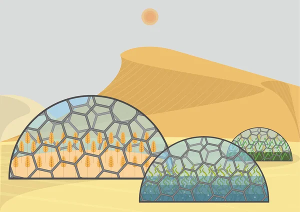 閉鎖生態システム システム 使用の概念 別の植物と砂漠の極端な気象条件で自己持続可能な Biostation — ストックベクタ