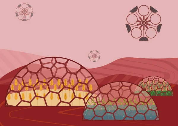 閉鎖生態システム システム 使用の概念 別の植物と別の惑星 に自己持続可能な Biostation — ストックベクタ