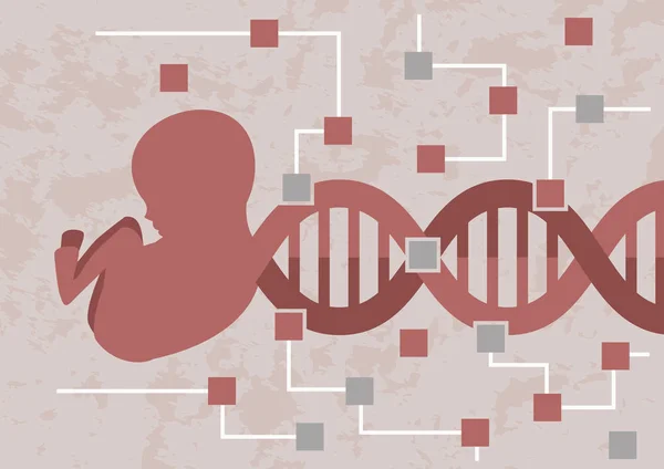 Hacking Zarodek Dziecka Dekodowania Dna Zarodka Sprawdzania Możliwe Mutacji Lub — Wektor stockowy