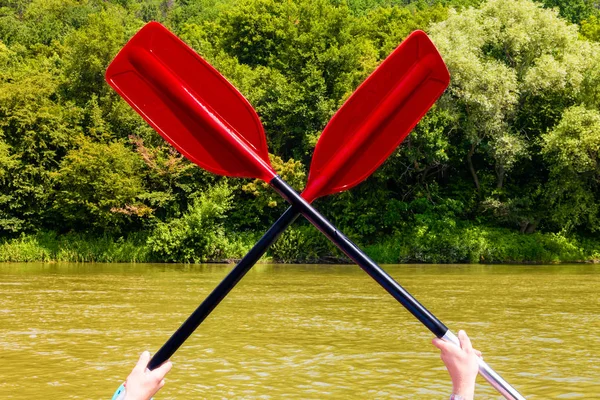 在德尼斯特河上的双体船上进行水上旅行 在德尼斯特的背景下 两只红桨 — 图库照片