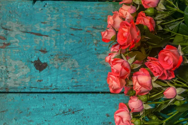 Rosa rosas no fundo azul de madeira vintage . — Fotografia de Stock