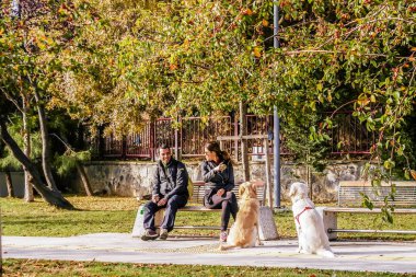Istanbul sokaklarında sokak hayatı.