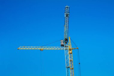 Mavi gökyüzüne karşı iki Vinçler.