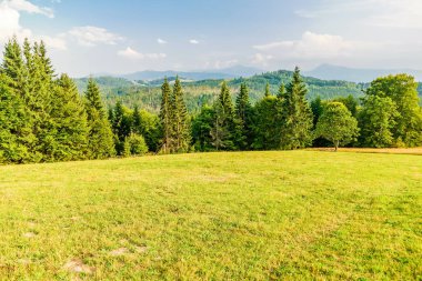 Arka planda Hoverla ve Petros siluetleri ile Ukrayna Karpatlar Meadow