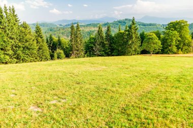 Arka planda Hoverla ve Petros siluetleri ile Ukrayna Karpatlar Meadow