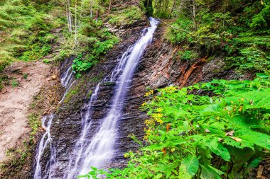 Zhenetskyi Huk waterfall in green forest. Carpathians, Ukraine clipart