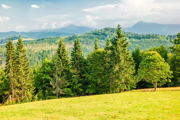 Arka planda Hoverla ve Petros siluetleri ile Ukrayna Karpatlar Meadow