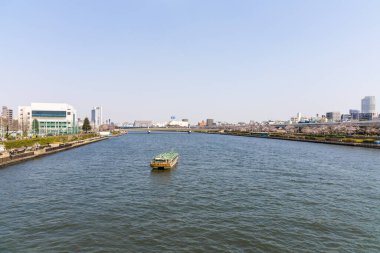 Sumida nehri sakura ile