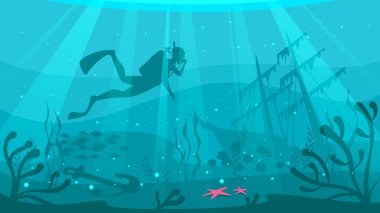 Scuba Diver gemi enkazı araştırıyor 