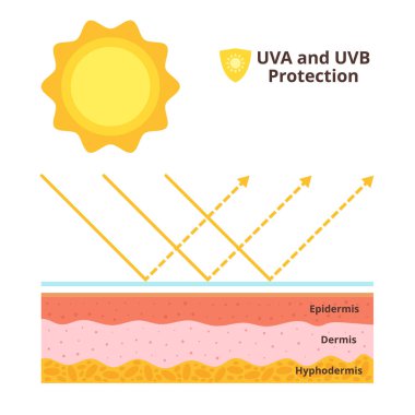  UVA ve uvb koruması kavramı