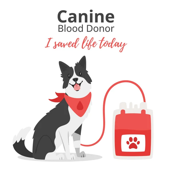 ペットのベクトル漫画スタイルの背景は 血の概念を寄付します ドナーの日 意欲を高めるポスター 血液バッグの近くに座っている犬 — ストックベクタ