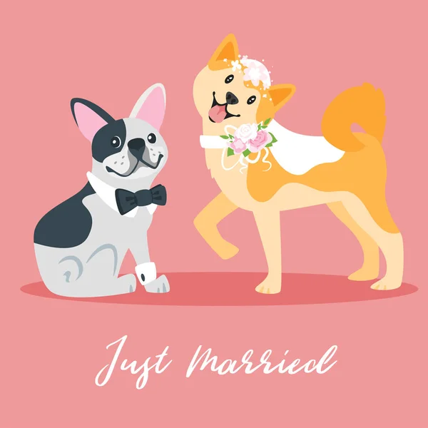 犬との結婚式の日イラスト — ストックベクタ
