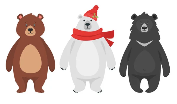 Σετ από τρία διαφορετικά αρκούδες — Διανυσματικό Αρχείο