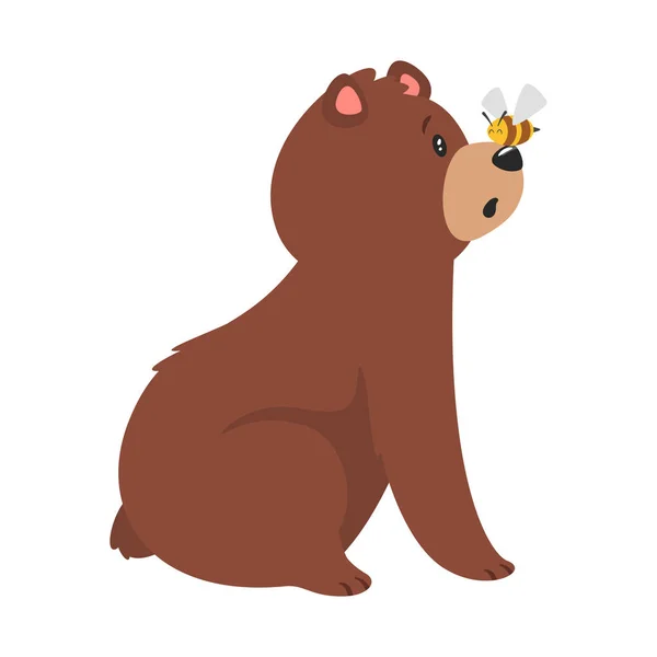 Cartoon brown grizzly bear — Stock Vector