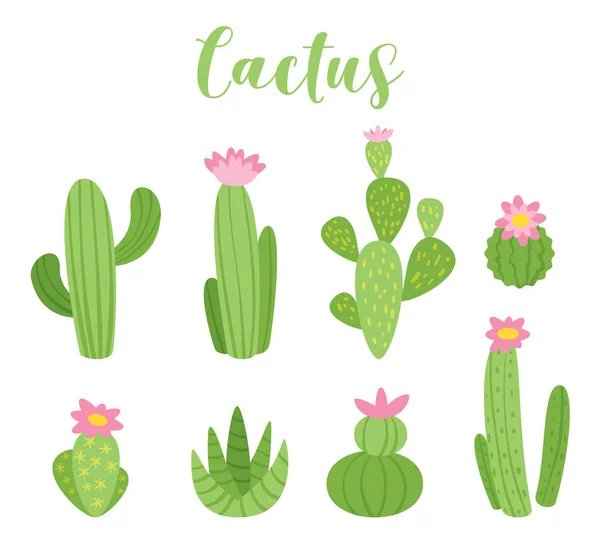 Cactus bonito ilustração vetorial — Vetor de Stock