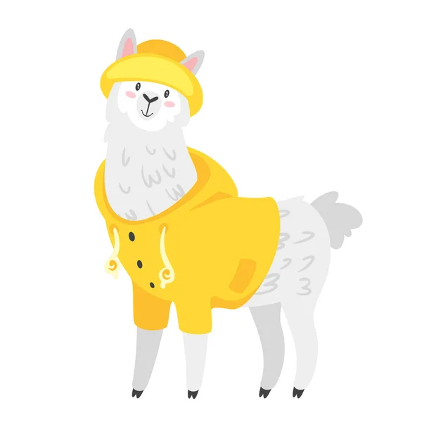Bel lama. Animali da alpaca — Vettoriale Stock