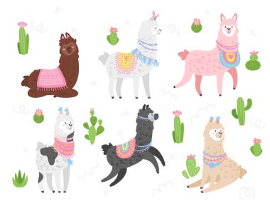 Şirin lama. Alpaka hayvan