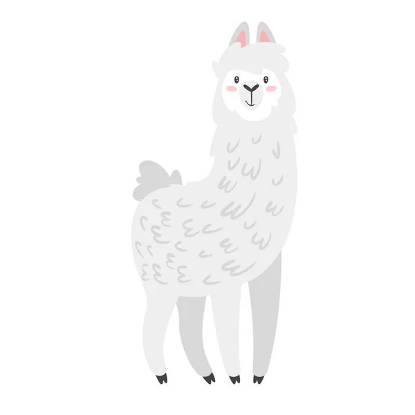 Lama giro. Alpaca animal — Vetor de Stock