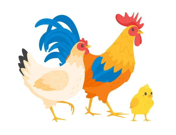 Kyckling familj: höna, tupp — Stock vektor