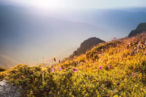 아름다운 산들을 수있다 선택적 빈티지 효과입니다 자각하는 자연의 — 스톡 사진