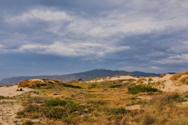 Kum tepelerindeki çimlerin manzarası ve Atlantik kıyısındaki mavi gökyüzü. Güneşli bir yaz günü. Guincho plajı. Atlantik okyanusu. Portekiz.