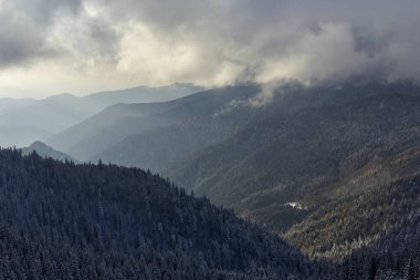 Dağların karlı kış manzarası. Hoarfrost 'taki kozalaklı orman. Tepelerdeki dağ katmanlarını ve sisleri görebiliyoruz. Kış mevsimi.