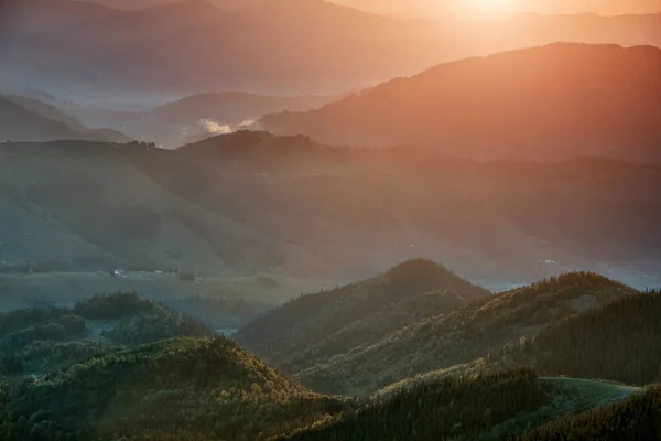 아름다운 의산들 연출하는 환상적 아래서는 꼭대기를 내려다볼 수있습니다 동물에 자연의 — 스톡 사진