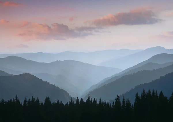 Beautiful landscape of summer mountains at sunrise. Misty slopes of the mountains in the distance. View of morning forest hills in fog and rays of sunlight. Concept of the awakening wildlife. 