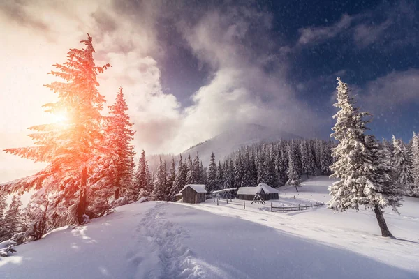 Magical landscape of mountains in winter. Fantastic morning glowing by sunlight. View of snow-covered forest trees. Background of falling snowflakes. Photo greeting card.