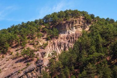 Fotoğrafta eşsiz jeolojik oluşumları olan ormanlık bir yamaç görünüyor. Tepe yeşil çam ağaçlarıyla kaplı ve açıkta kalan kısımlar tortul kaya katmanları ve aşınmış sütunları ortaya çıkarıyor..