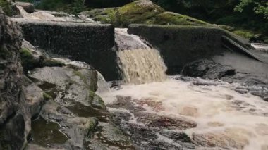 Suyun parıldadığı ve yemyeşil sularla çevrili antik kayaların üzerinde zahmetsizce aktığı sakin güzelliği hissedin. Doğanın sesi huzurlu bir atmosfer yaratır..