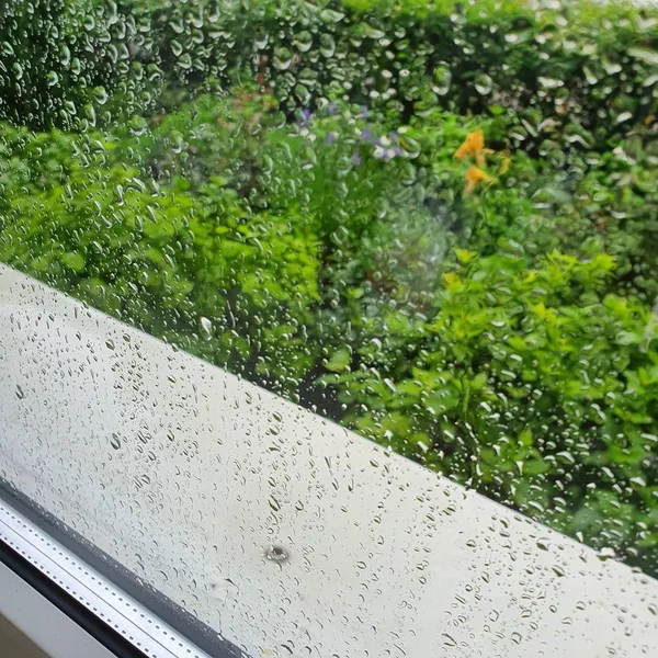 Drops of rain on the glass. A green garden behind the glass.