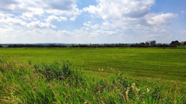 Bulutlu bir günde Polonya kırsal bölgesi