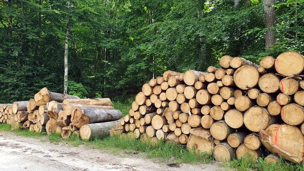 Ağaçlar ormanda parçalara ayrılmış.