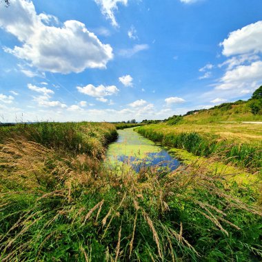 Polonya 'nın Beka Reserve bölgesindeki bataklık bölgeleri