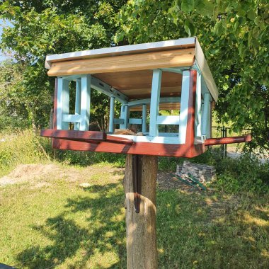 Tahta soluk benizli kuşlar için renkli ahşap besleyici