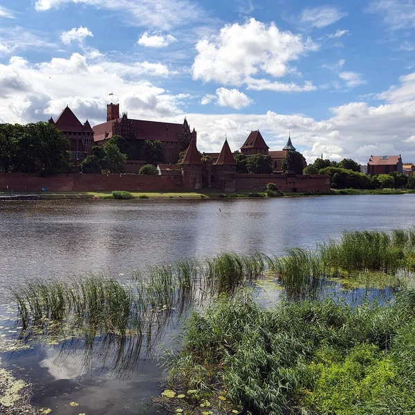 Замок Мальборку Річці Ногат Польща — стокове фото